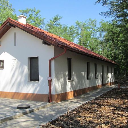 Bagosi Vendeghaz Hotel Hajdubagos Екстериор снимка