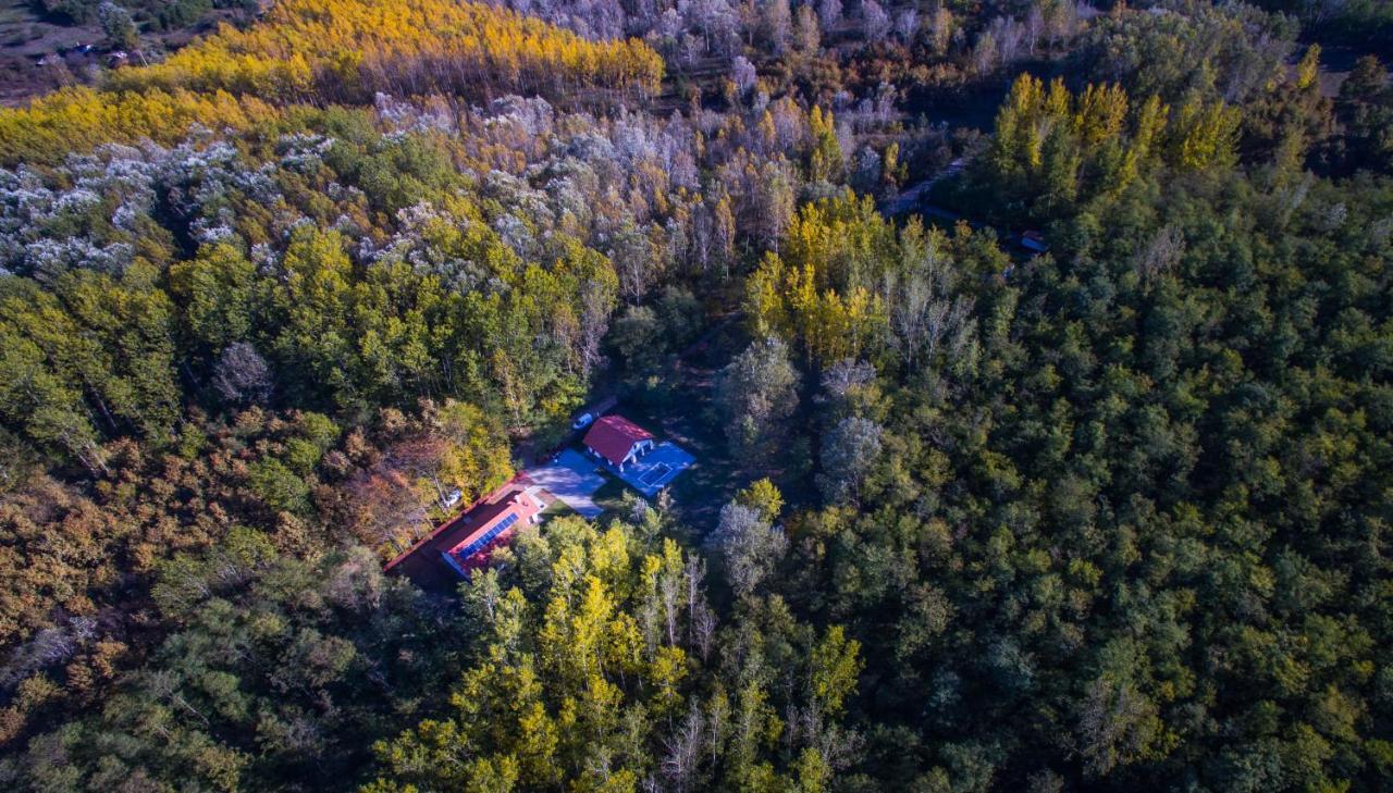 Bagosi Vendeghaz Hotel Hajdubagos Екстериор снимка