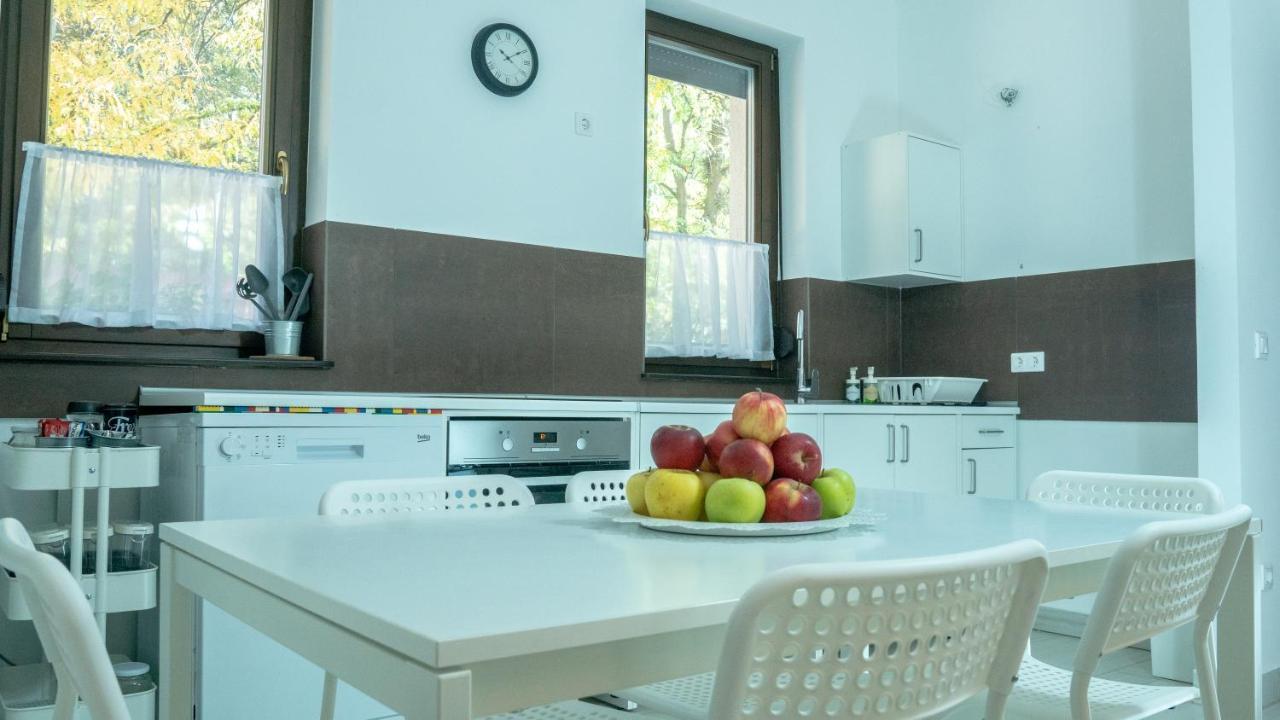 Bagosi Vendeghaz Hotel Hajdubagos Екстериор снимка